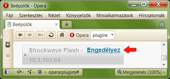 Flash engedélyezése Opera böngészőben.