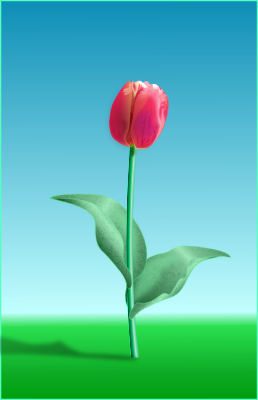 Festett tulipán.
